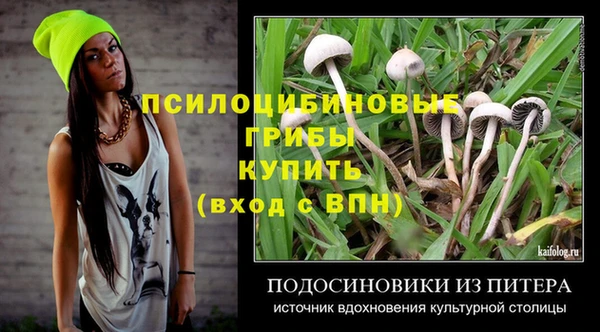 гидра Богородицк