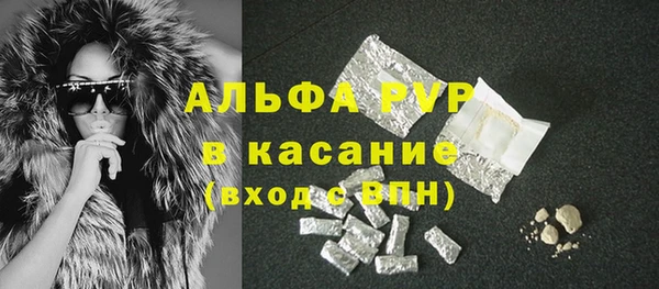 гидра Богородицк