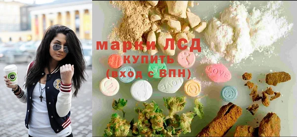 гидра Богородицк