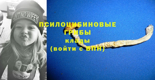 ешки Богданович