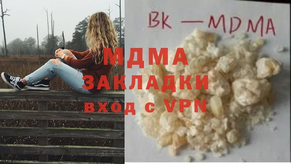 гидра Богородицк