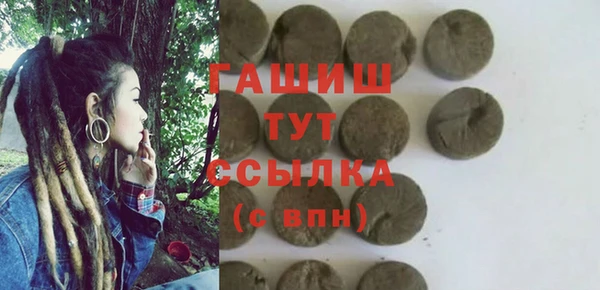 гидра Богородицк