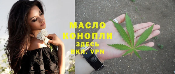 гидра Богородицк