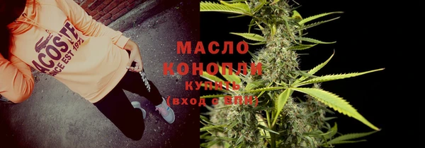 гидра Богородицк