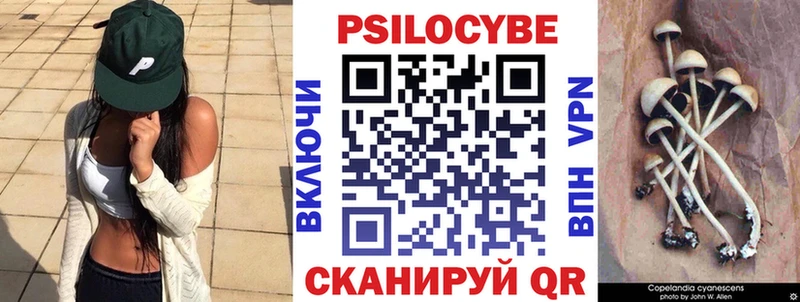 Галлюциногенные грибы мицелий  закладки  OMG как войти  Козловка 